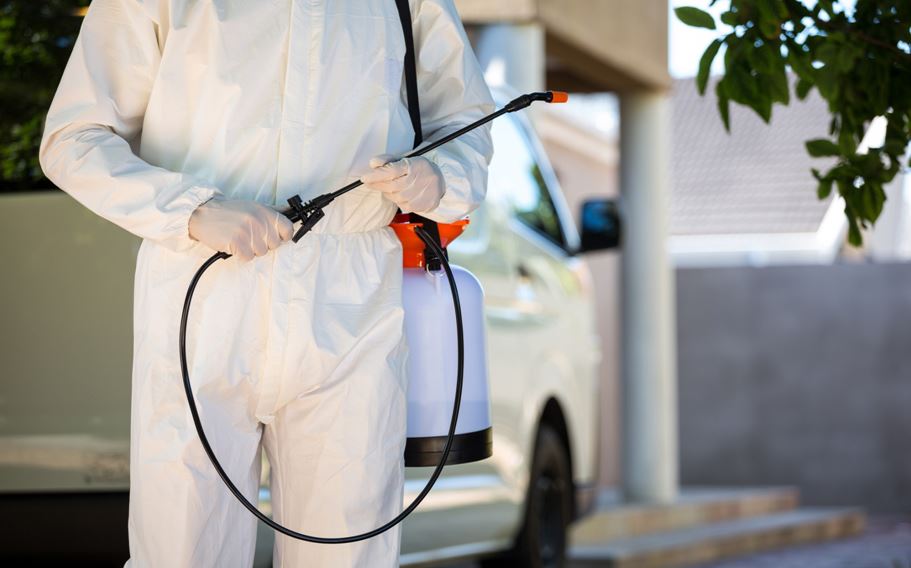 7 Mistakes to Avoid When Hiring Pest Control Services Near Me